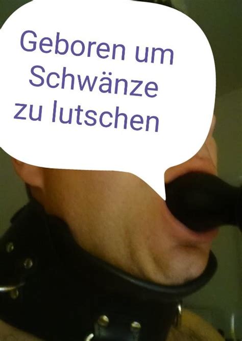 schwänze lutschen|Schwanzlutschen Porno Videos 